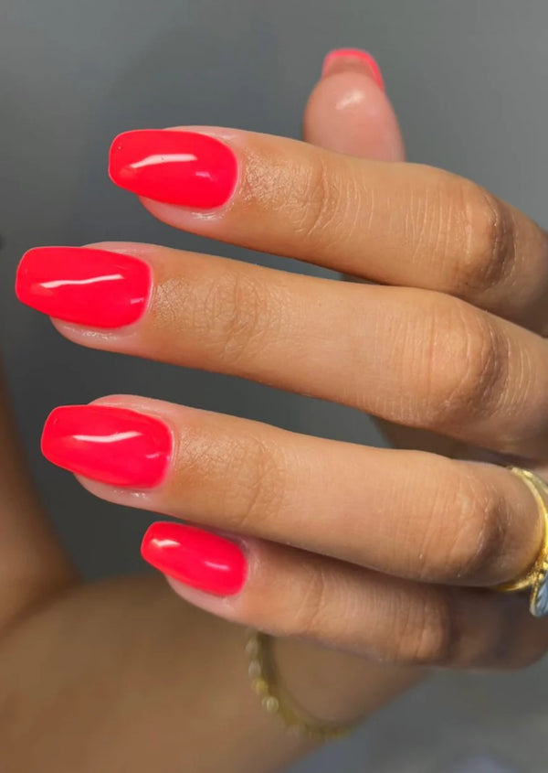 Sahara Sunset (BC360)