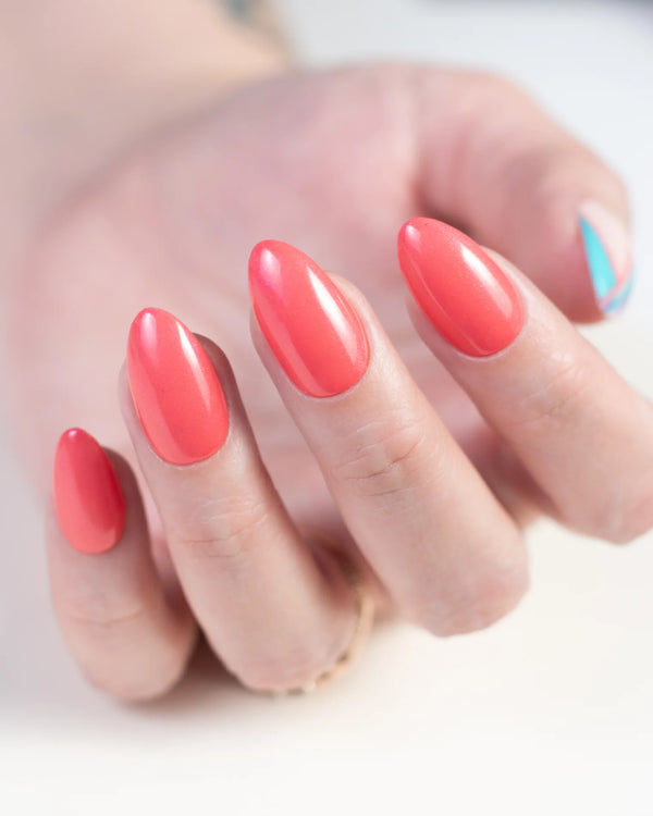 P+ Men Are From Mars (52167)