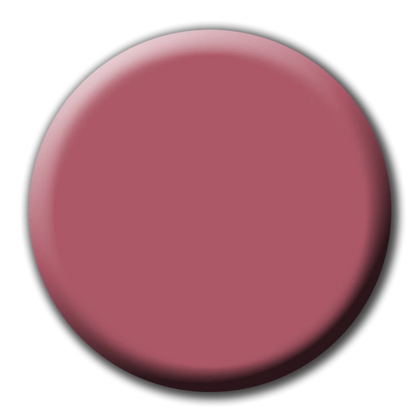 P+ HIDDEN SECRETS GEL POLISH (22404)