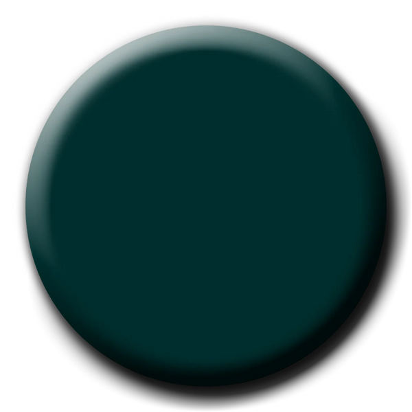 P+ WORTH WAITING FOR GEL POLISH (22452)