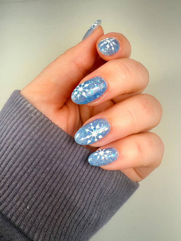 P+ Ocean Jelly 52209