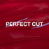 files/perfect-cut-texture-swatch-web_878x878_b9fd898b-c448-4110-92ad-be8cc53ee13a.webp