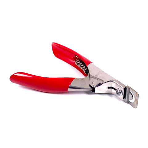 טיפסים לבניית ציפורניים