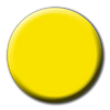 P+ YELLOWJACKET (22146)